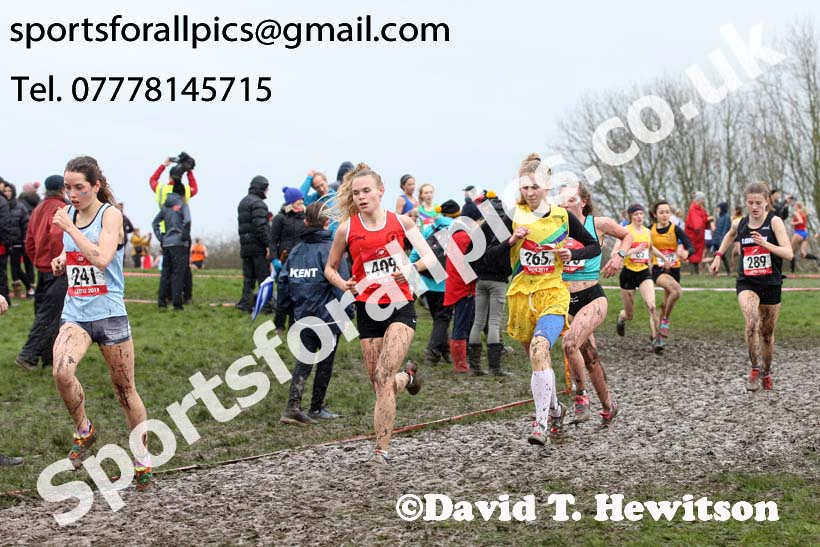 Senior girls 2019 New Balance English Schools Cross Country Champs, Temple Newsam, Leeds. Photo:  David T. Hewitson/Sports for All Pics